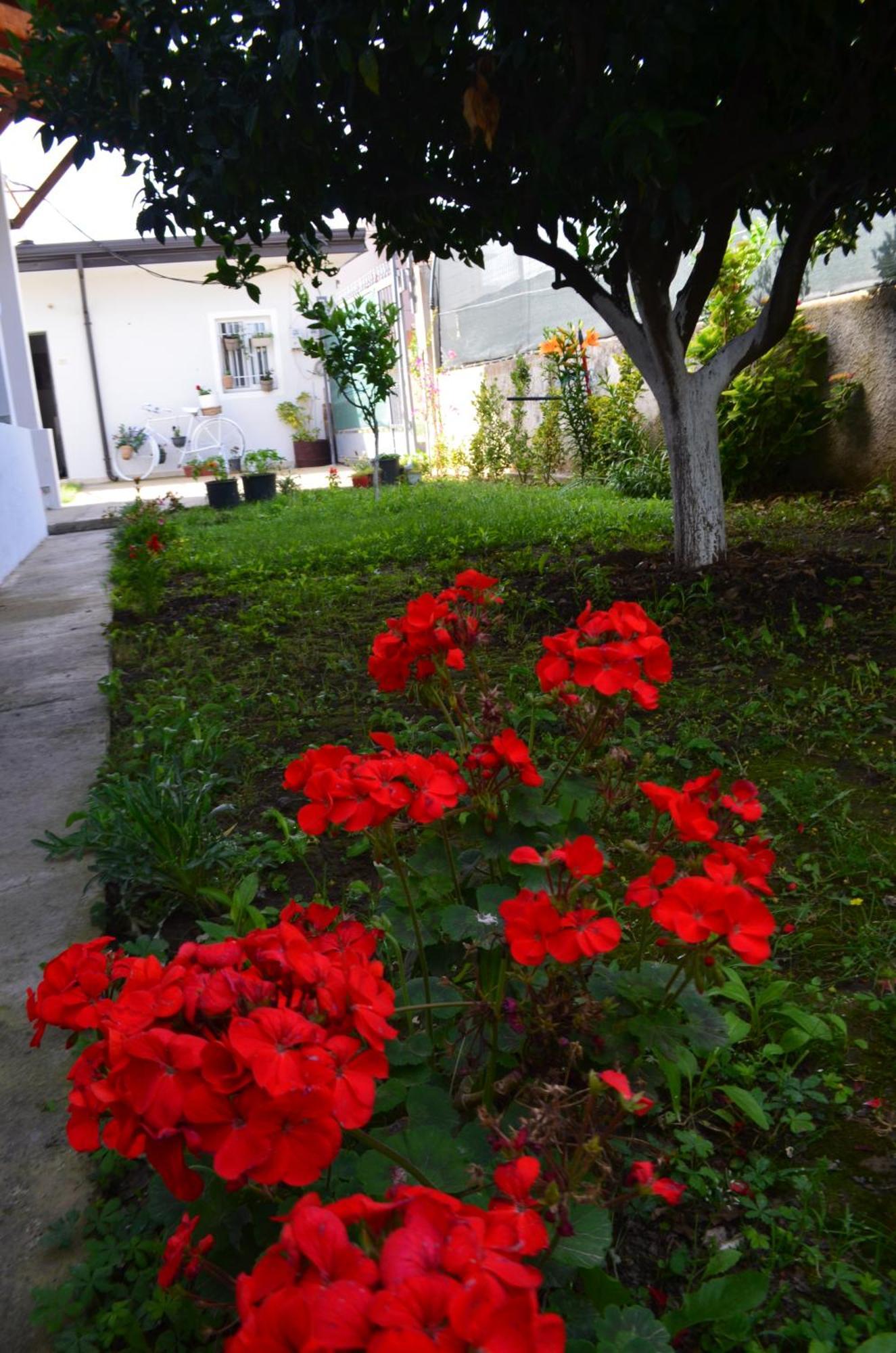Rustic Tale Guesthouse Exterior photo